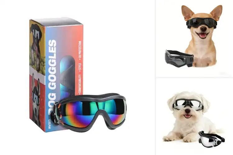 Detailed view of Best Adjustable Dog Sunglasses
