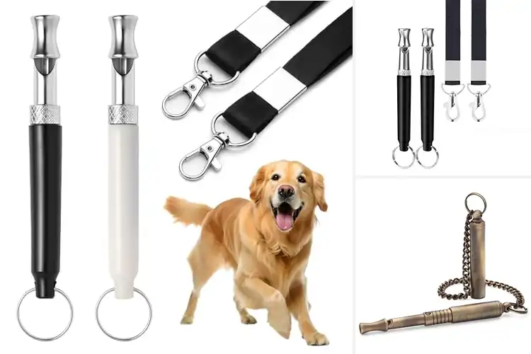 Detailed view of Best Adjustable Frequency Dog Whistles