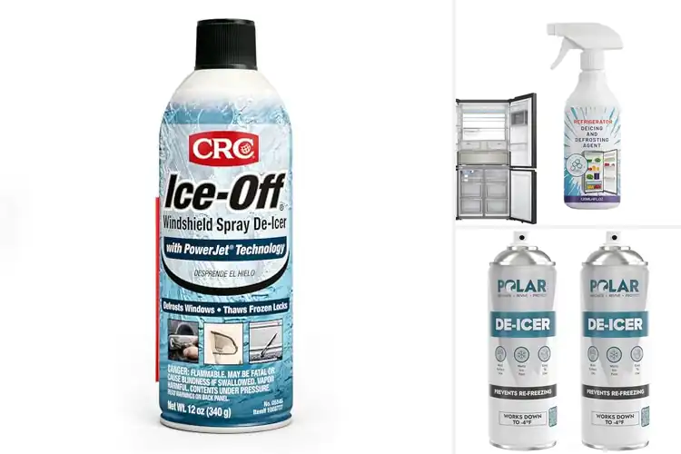 Detailed view of Best Automotive De-Icing Sprays