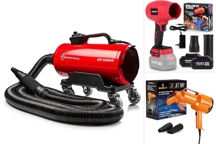 Detailed view of Best Car Blowers and Blades: Fast, Easy Auto Cleaning