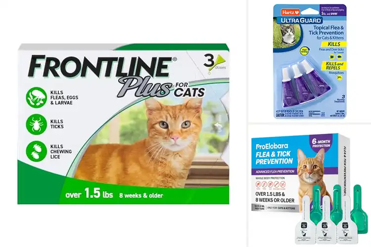 Detailed view of Best Cat Flea and Tick Solutions