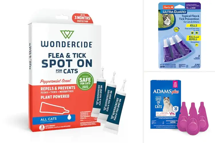 Detailed view of Best Cat Flea and Tick Spot Ons