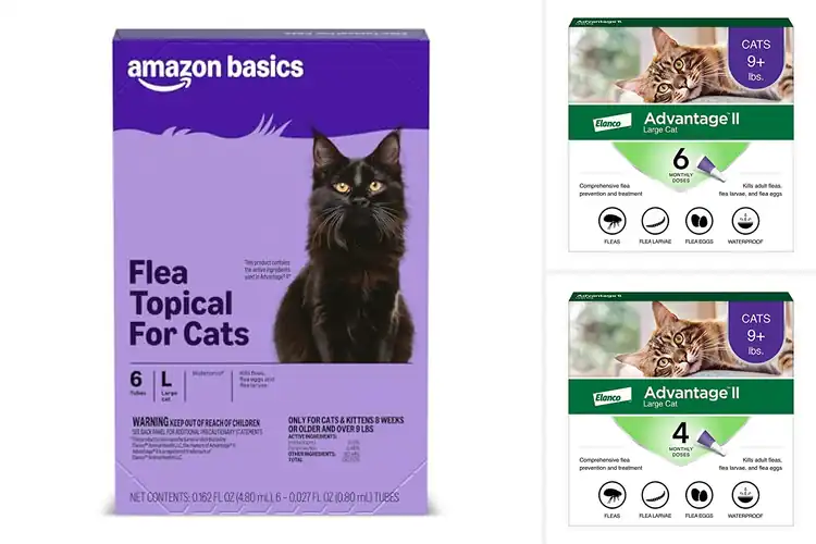Detailed view of Best Cat Flea Preventatives