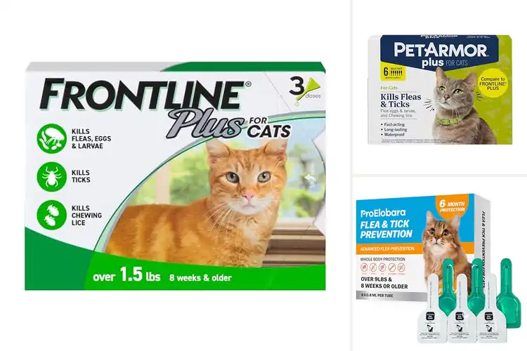 Detailed view of Best Cat Flea & Tick Solutions for Happy Pets