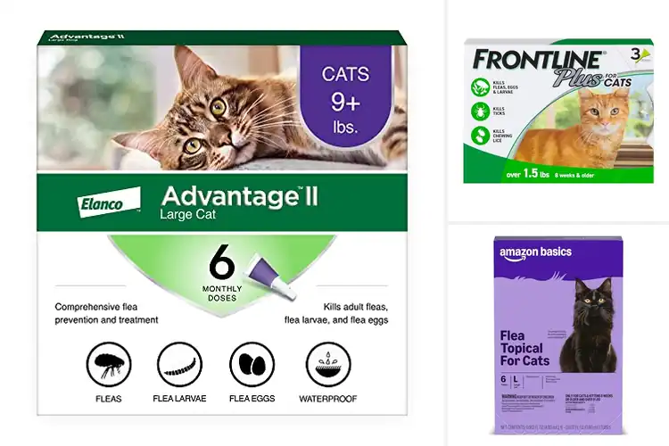 Detailed view of Best Cat Flea Treatments