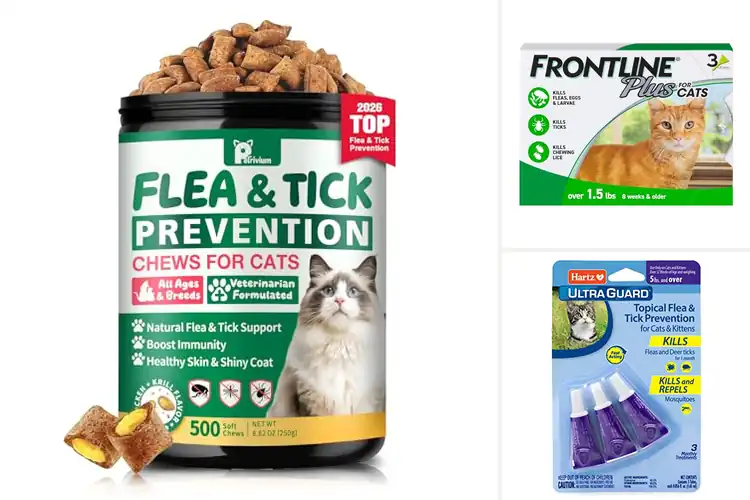 Detailed view of Best Cat Health Products for Flea and Tick Prevention