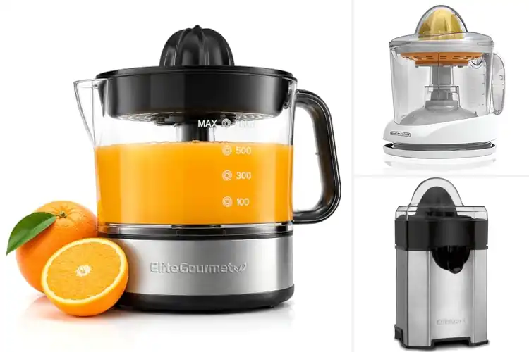 Detailed view of Best Citrus Juicers