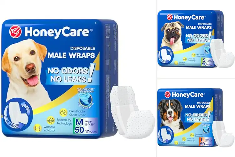 Detailed view of Best Dog Incontinence Wraps: Leak-Proof Comfort for Your Pet