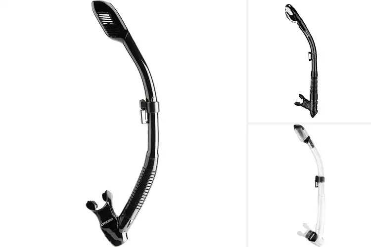 Detailed view of Best Dry Snorkels