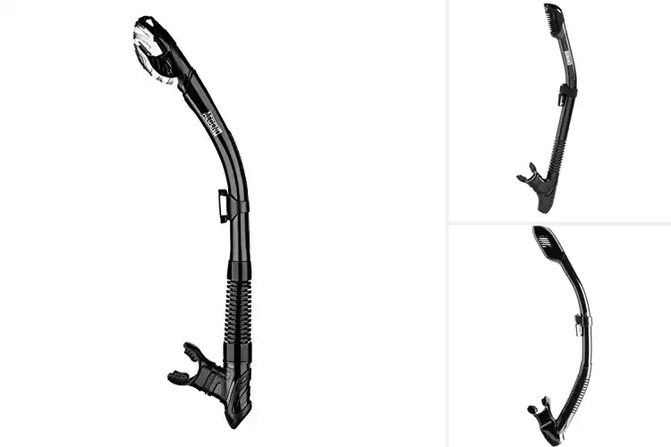 Detailed view of Best Dry Top Snorkels: Dive into Unforgettable Adventures