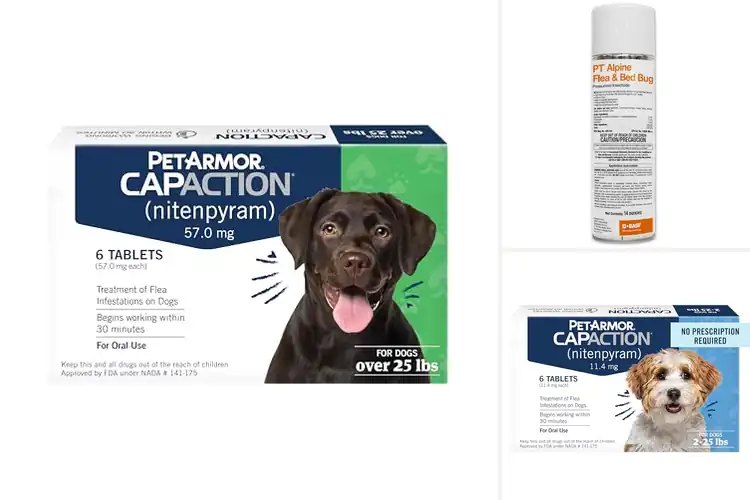 Detailed view of Best Fast Acting Flea Killers