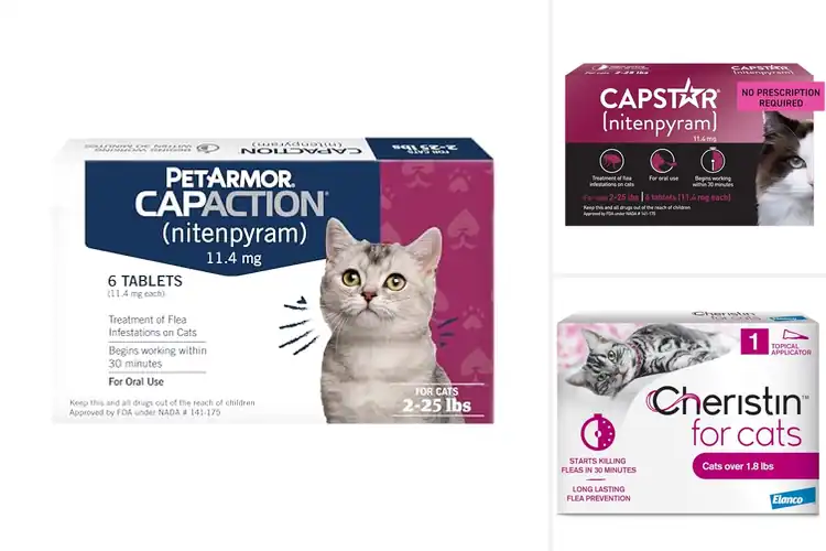 Detailed view of Best Fast Acting Flea Treatments for Cats