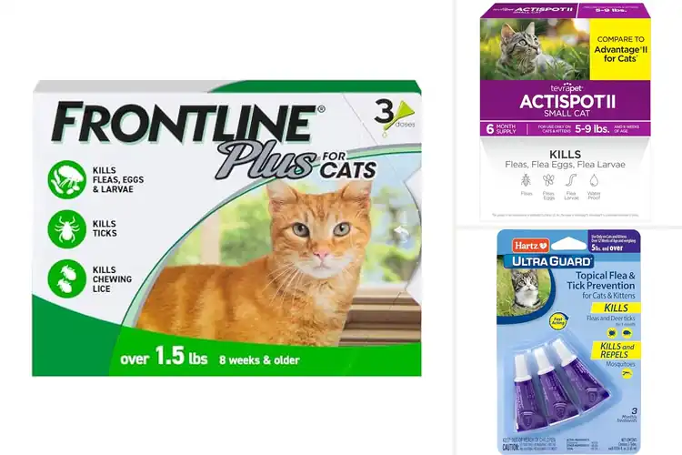 Detailed view of Best Flea And Tick Spot On Treatments For Small Cats
