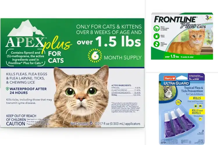 Detailed view of Best Flea And Tick Treatments For Kittens