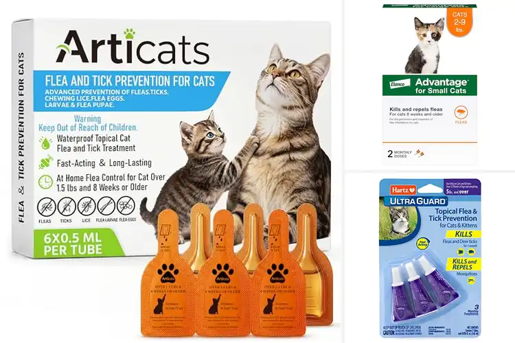 Detailed view of Best Flea And Tick Treatments For Small Cats