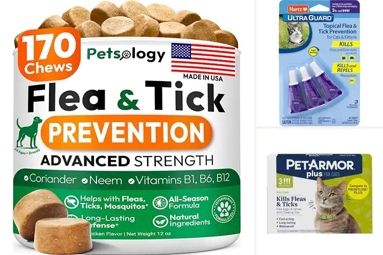 Detailed view of Best Flea Control Treatments