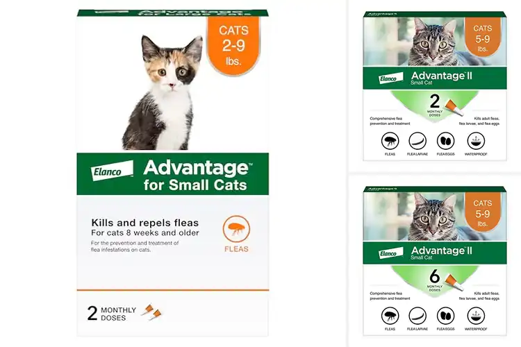 Detailed view of Best Flea Drops For Small Cats