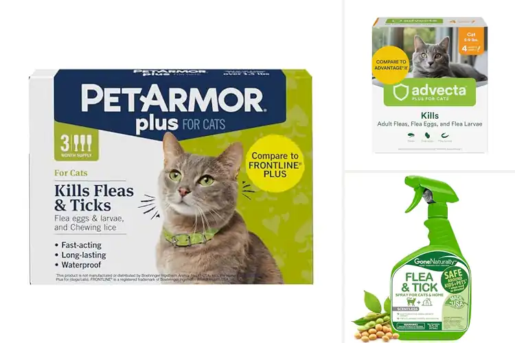 Detailed view of Best Flea Eggs And Larvae Killers For Cats