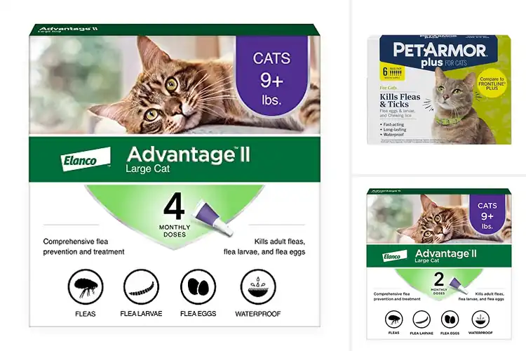 Detailed view of Best Flea Prevention Drops For Cats