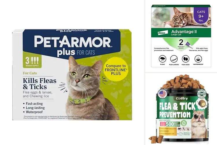 Detailed view of Best Flea Prevention Products For Cats