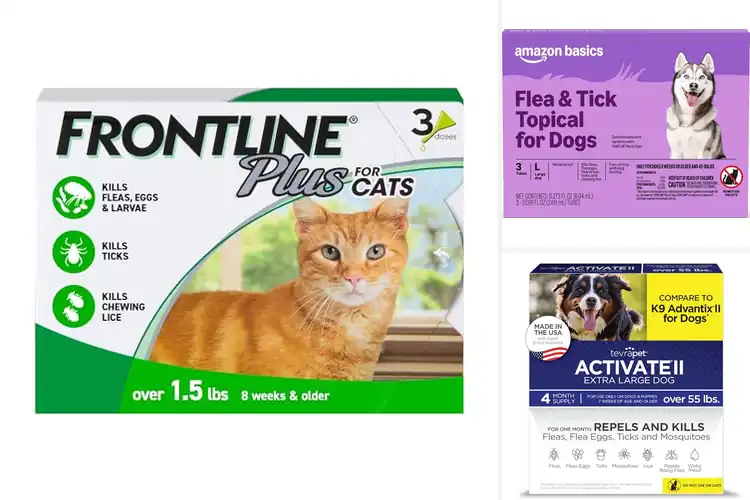 Detailed view of Best Flea Prevention Treatments