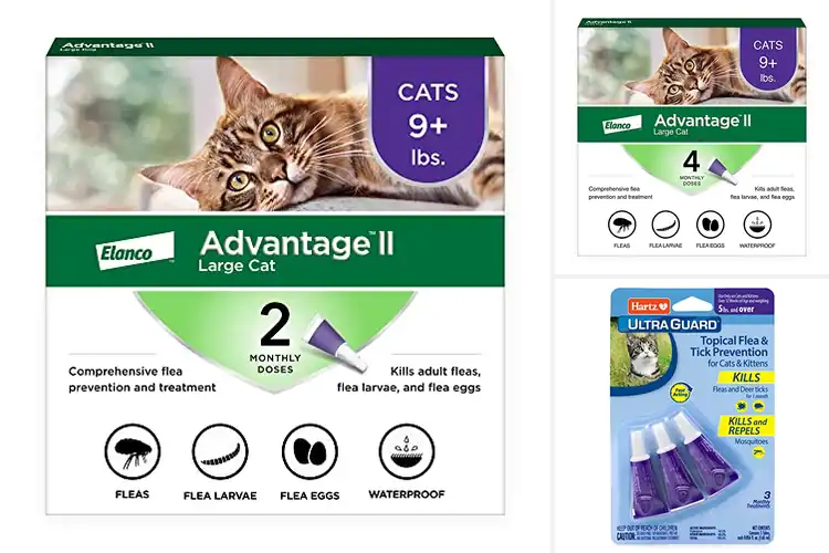 Detailed view of Best Flea Treatments for Cats
