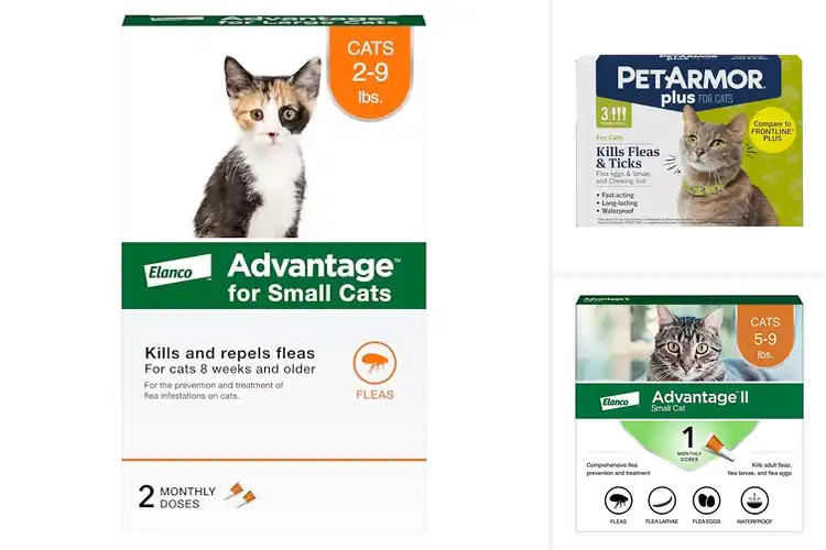 Detailed view of Best Flea Treatments For Small Cats
