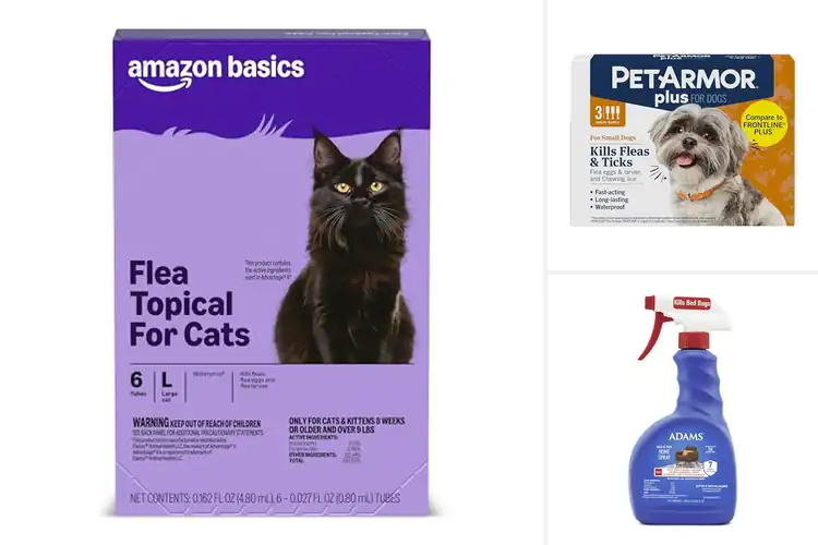 Detailed view of Best Flea Treatments