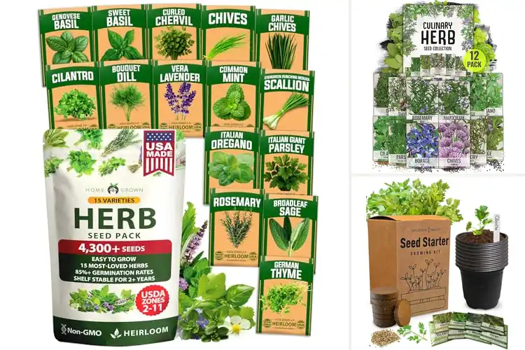 Detailed view of Best Fresh Culinary Herbs