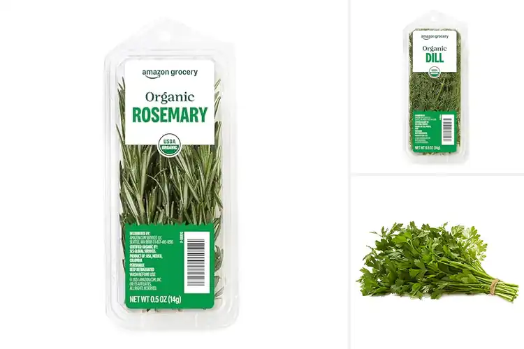Detailed view of Best Fresh Herbs for Cooking