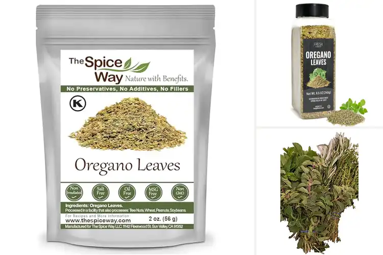 Detailed view of Best Fresh Oregano Herbs