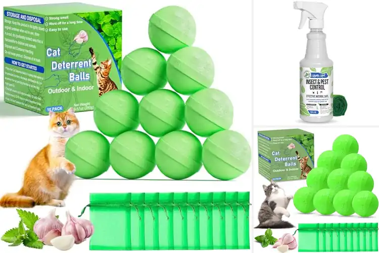 Detailed view of Best Indoor/Outdoor Cat Pest Products