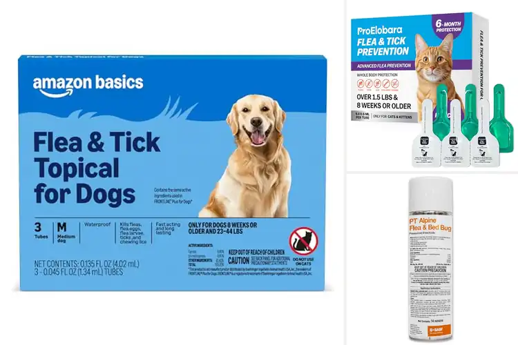 Detailed view of Best Long Lasting Flea Protections