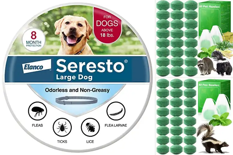 Detailed view of Best Long-Lasting Pet Protections