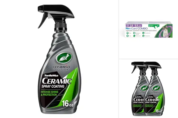 Detailed view of Best Monthly Protection Solutions for Pets & Cars