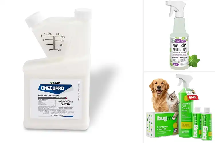 Detailed view of Best Multi‑Pest Control Products
