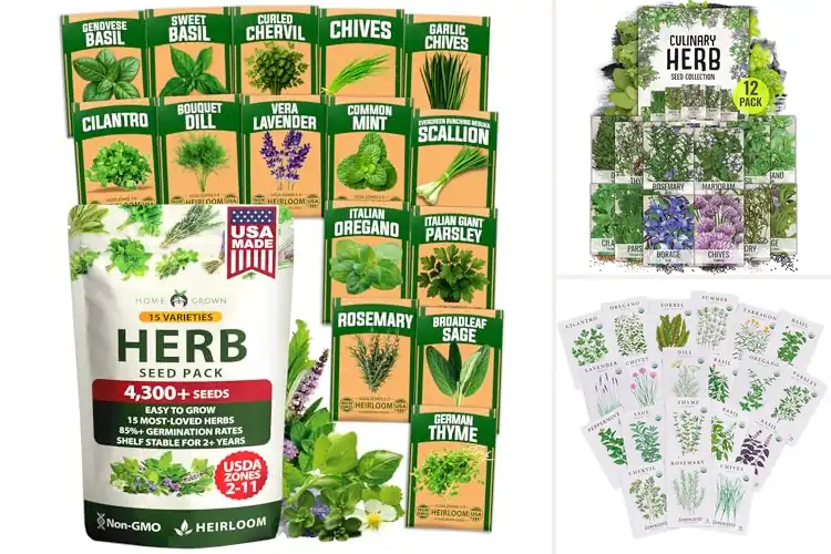 Detailed view of Best Non GMO Fresh Herbs