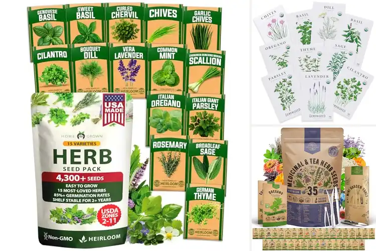 Detailed view of Best Non GMO Herbs