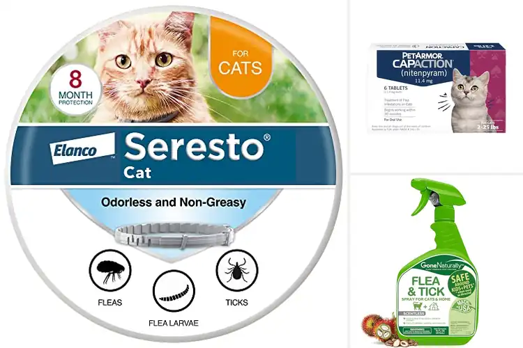 Detailed view of Best Odorless Flea Solutions for Cats