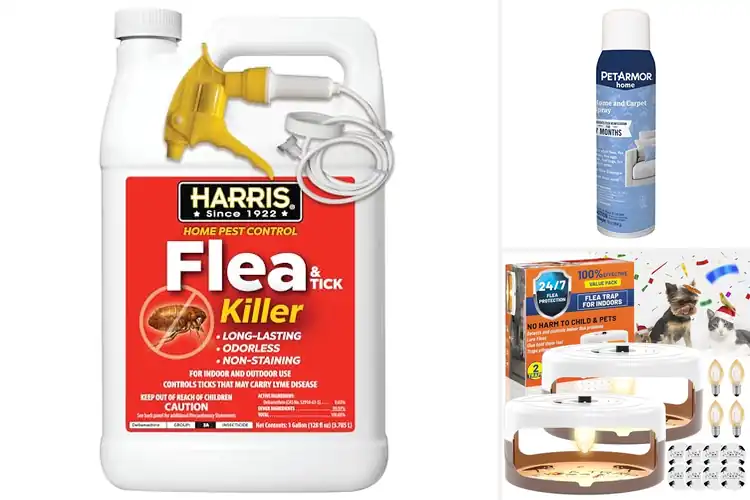 Detailed view of Best Odorless Flea Solutions