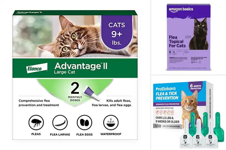 Detailed view of Best Odorless Flea Treatments for Cats