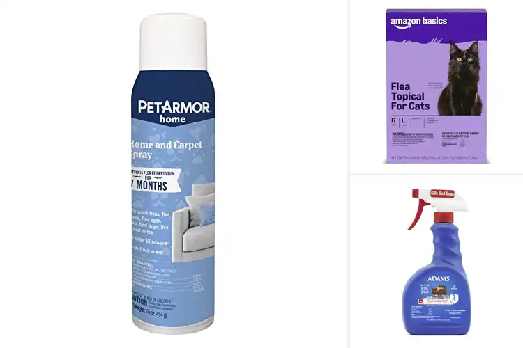Detailed view of Best Odorless Flea Treatments