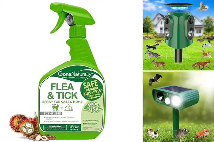 Detailed view of Best Pest Control Products for Cats