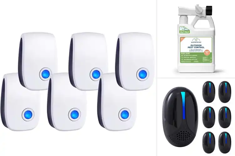 Detailed view of Best Pest Control Products for Pets