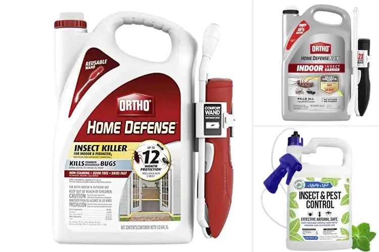 Detailed view of Best Pest Controls: 10 Top Solutions for a Pest-Free Home