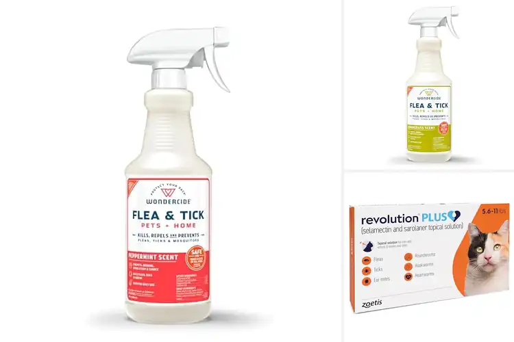 Detailed view of Best Pest Solutions For Cats
