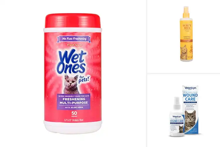 Detailed view of Best Pet Care Products For Cats