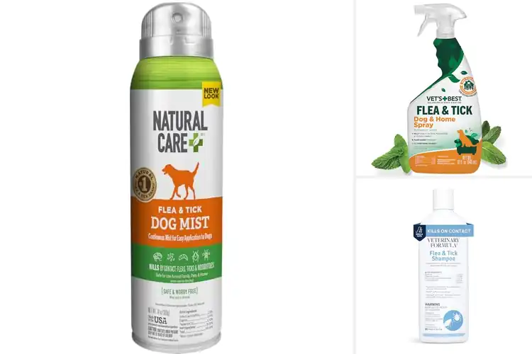 Detailed view of Best Pet Care Solutions for Flea and Tick
