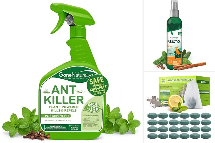Detailed view of Best Pet Pest Solutions
