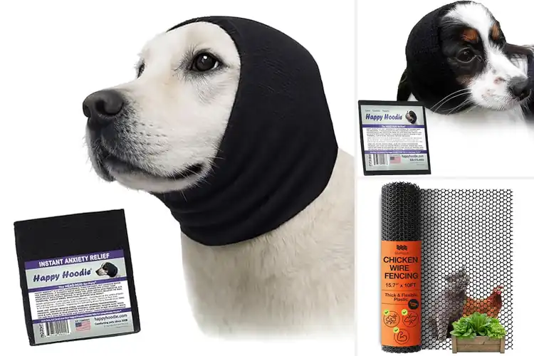 Detailed view of Best Pet Protections: 10 Tools for Safety & Comfort